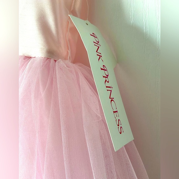 Pink Princess NWT- Blossom Poly Silk Bodice, Tulle Dress w/ Flower & Sash - Picture 3 of 9